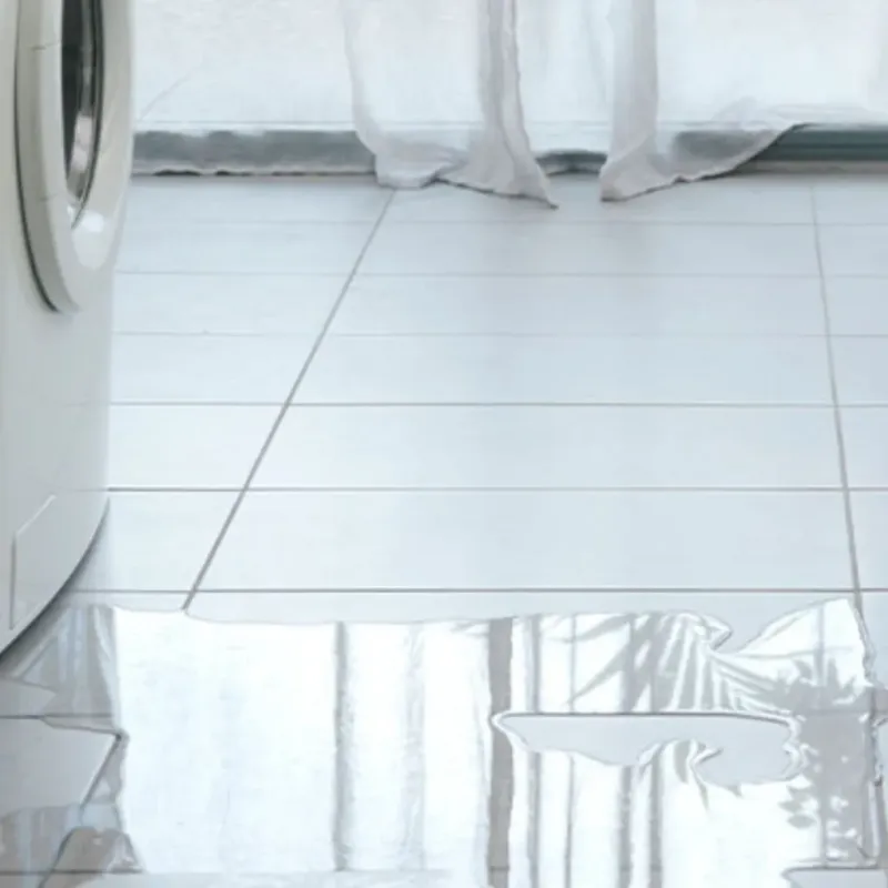 Appliance Leak Cleanup in East Brainerd, TN