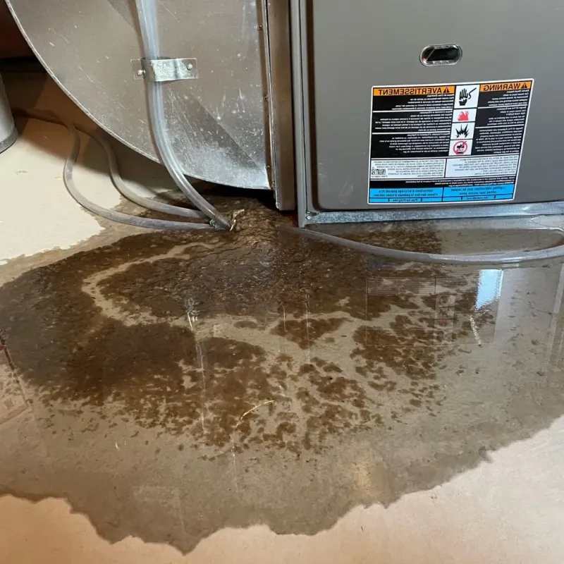 Pipe Burst and Leak Restoration in East Brainerd, TN