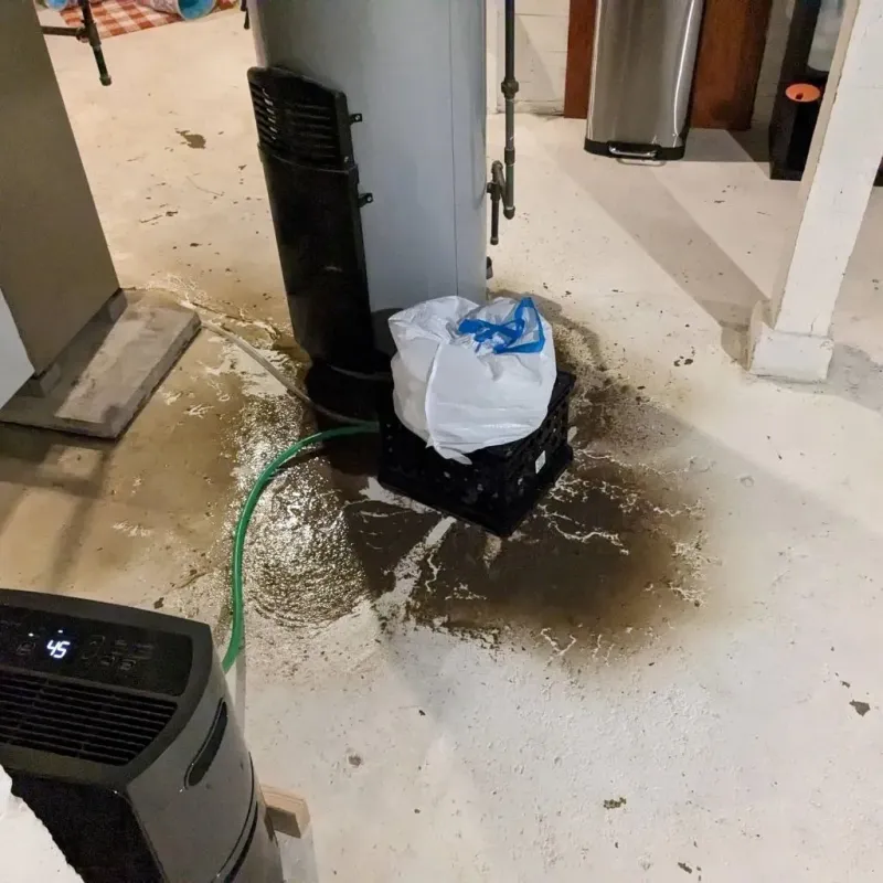 Sewage Backup Cleanup Service in East Brainerd, TN